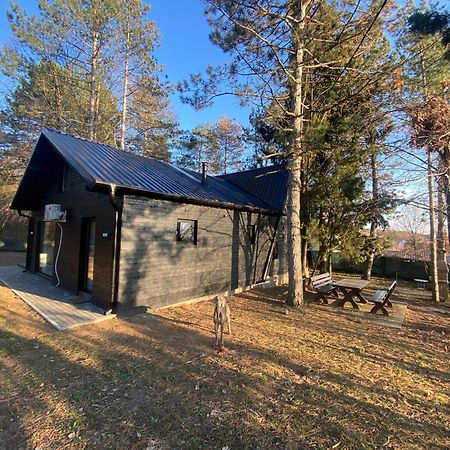 Kuca Za Odmor Vrdnik Villa Exterior foto