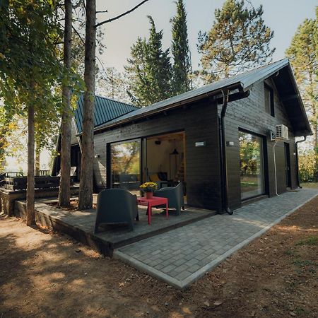 Kuca Za Odmor Vrdnik Villa Exterior foto