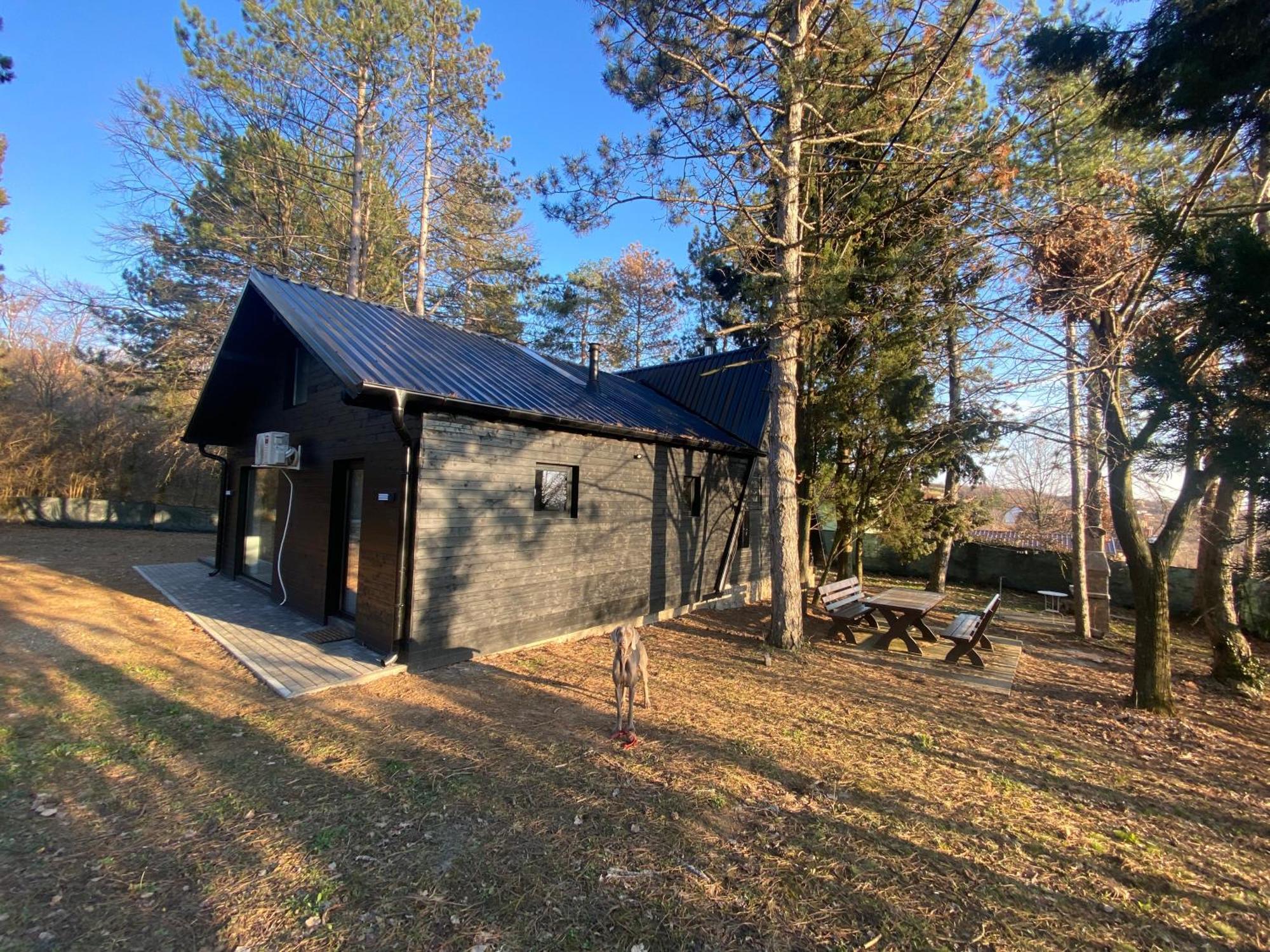 Kuca Za Odmor Vrdnik Villa Exterior foto