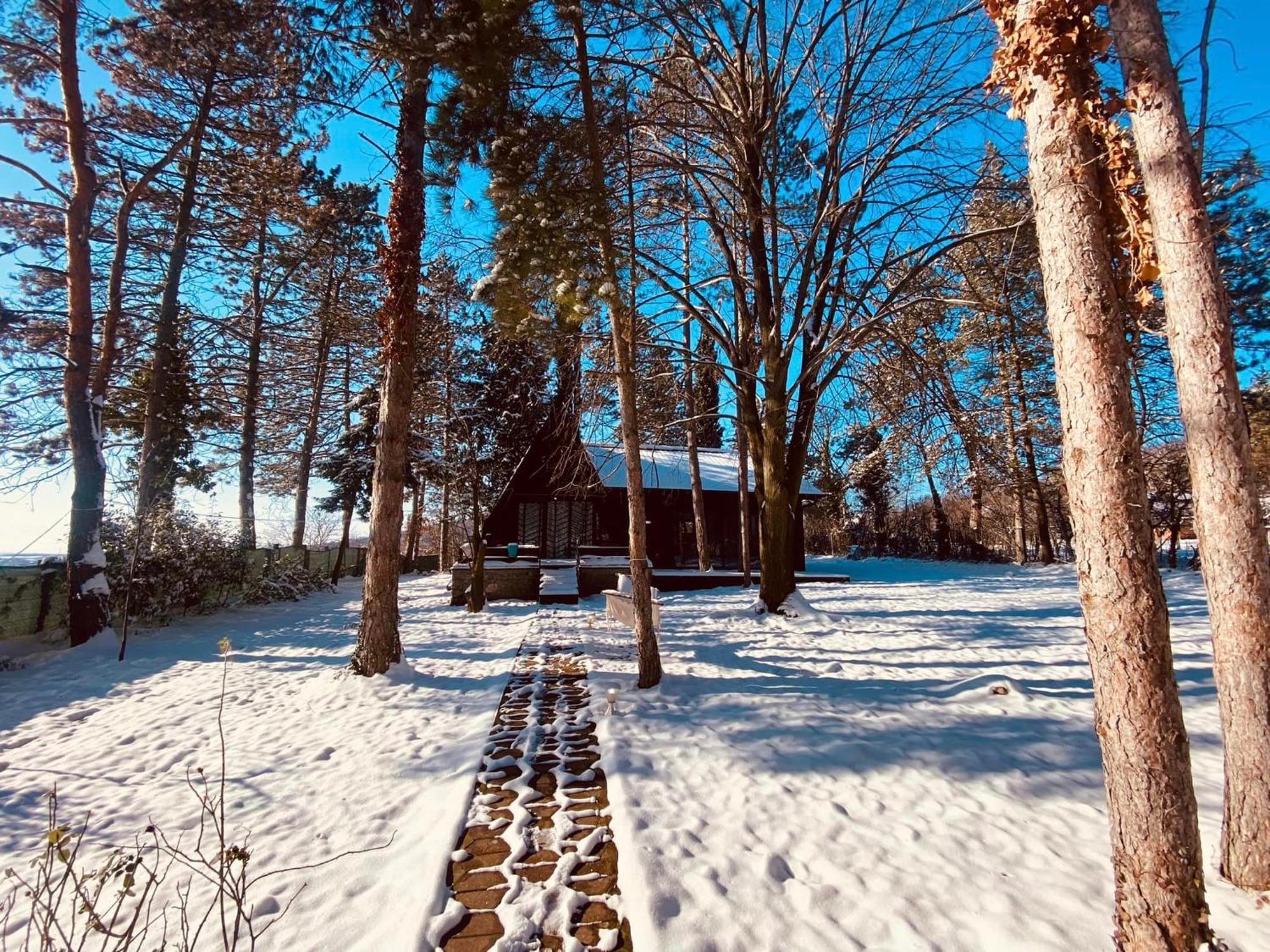 Kuca Za Odmor Vrdnik Villa Exterior foto