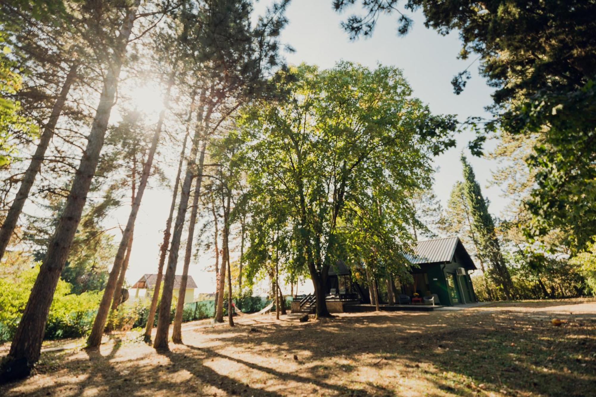 Kuca Za Odmor Vrdnik Villa Exterior foto