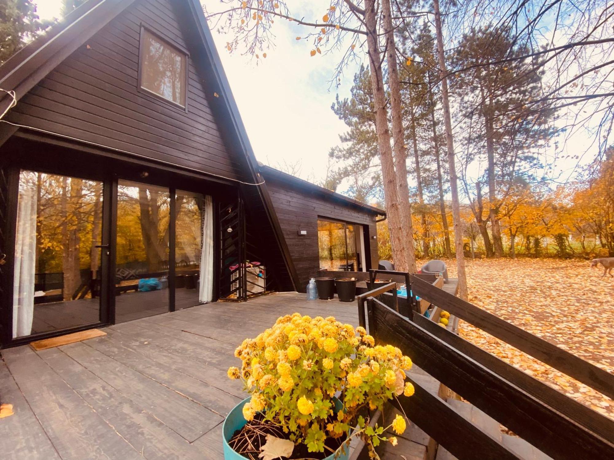 Kuca Za Odmor Vrdnik Villa Exterior foto
