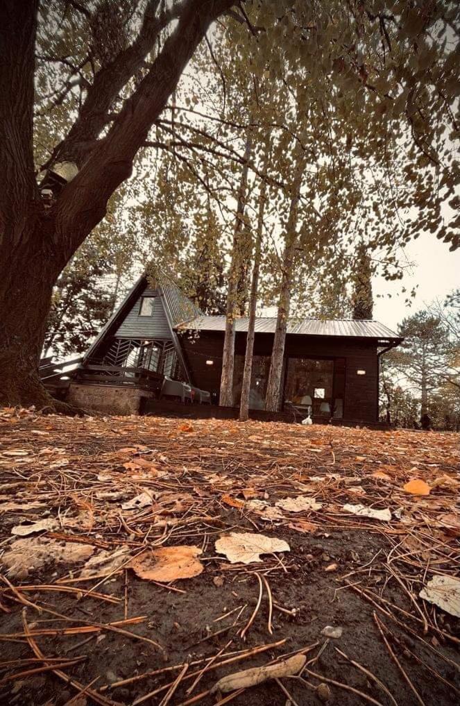 Kuca Za Odmor Vrdnik Villa Exterior foto